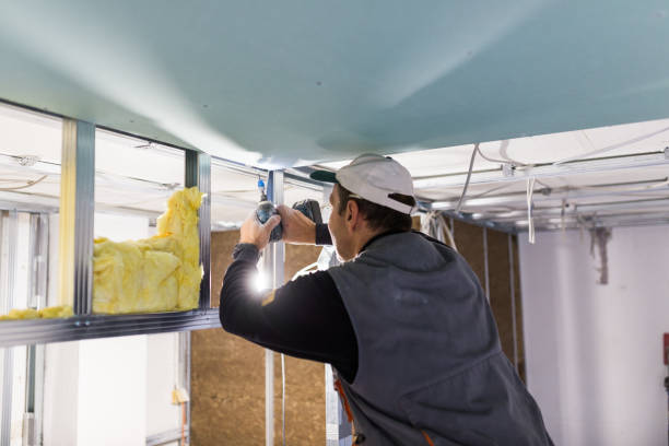 Types of Insulation We Offer in Grosse Pointe Woods, MI