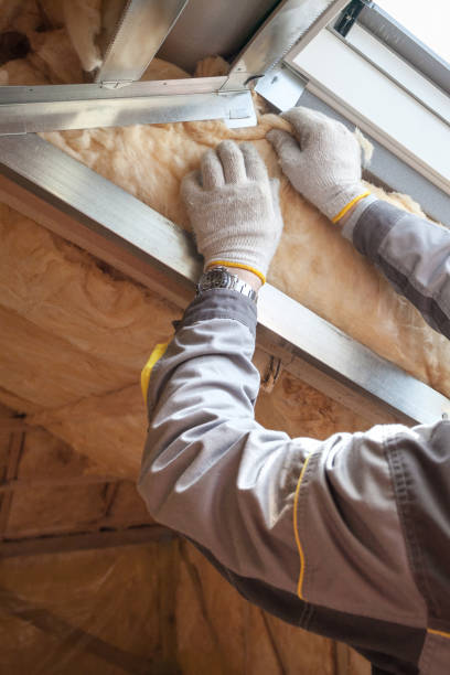 Best Specialized Insulation Services in Grosse Pointe Woods, MI